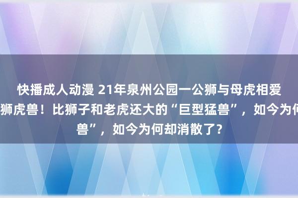 快播成人动漫 21年泉州公园一公狮与母虎相爱，生下一只狮虎兽！比狮子和老虎还大的“巨型猛兽”，如今为何却消散了？