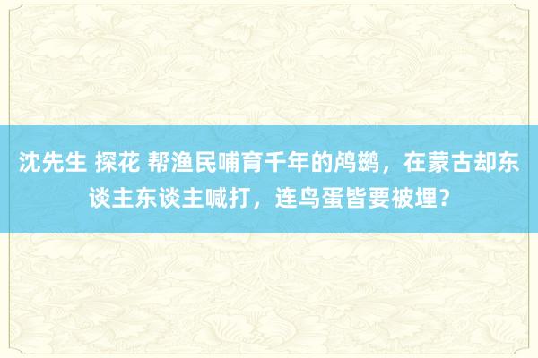 沈先生 探花 帮渔民哺育千年的鸬鹚，在蒙古却东谈主东谈主喊打，连鸟蛋皆要被埋？