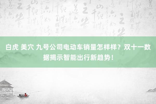 白虎 美穴 九号公司电动车销量怎样样？双十一数据揭示智能出行新趋势！