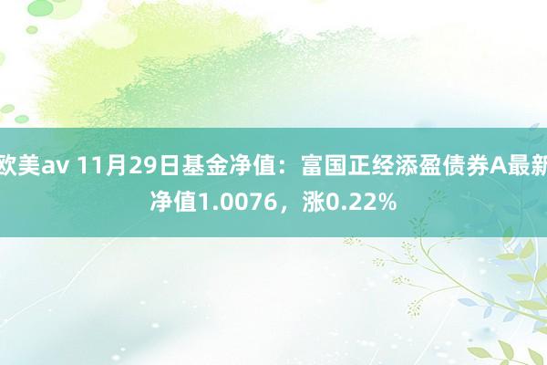 欧美av 11月29日基金净值：富国正经添盈债券A最新净值1.0076，涨0.22%