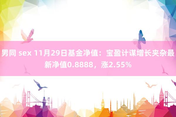 男同 sex 11月29日基金净值：宝盈计谋增长夹杂最新净值0.8888，涨2.55%