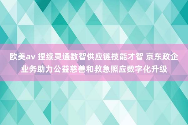 欧美av 捏续灵通数智供应链技能才智 京东政企业务助力公益慈善和救急照应数字化升级