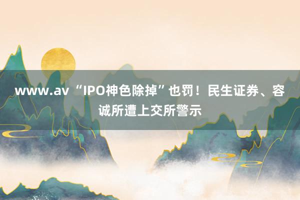 www.av “IPO神色除掉”也罚！民生证券、容诚所遭上交所警示