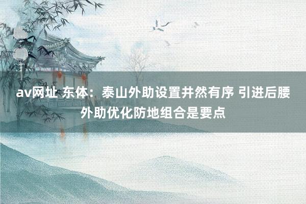 av网址 东体：泰山外助设置井然有序 引进后腰外助优化防地组合是要点