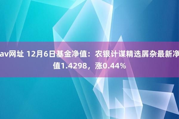 av网址 12月6日基金净值：农银计谋精选羼杂最新净值1.4298，涨0.44%