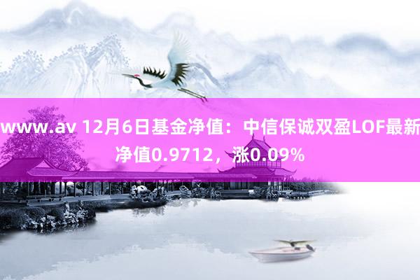 www.av 12月6日基金净值：中信保诚双盈LOF最新净值0.9712，涨0.09%