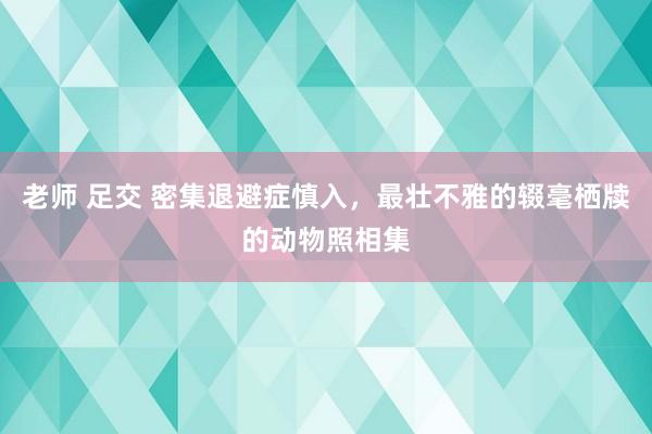 老师 足交 密集退避症慎入，最壮不雅的辍毫栖牍的动物照相集