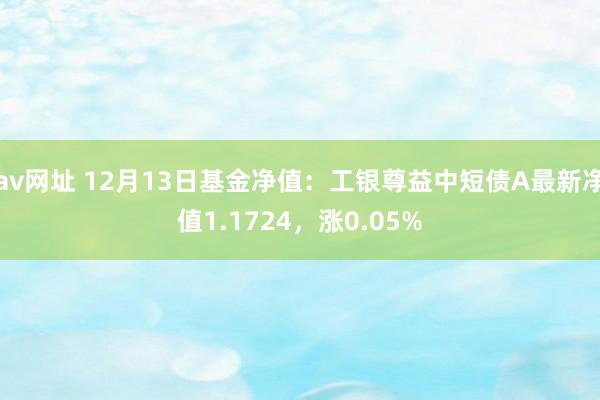 av网址 12月13日基金净值：工银尊益中短债A最新净值1.1724，涨0.05%