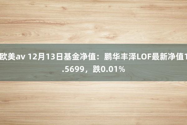 欧美av 12月13日基金净值：鹏华丰泽LOF最新净值1.5699，跌0.01%