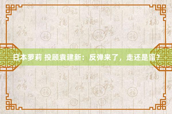 日本萝莉 投顾袁建新：反弹来了，走还是留？