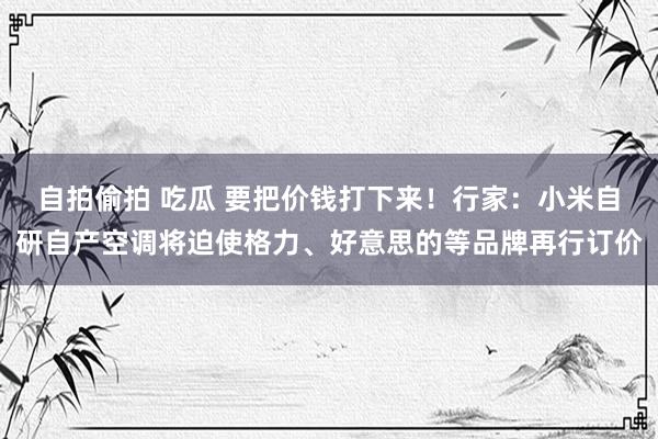 自拍偷拍 吃瓜 要把价钱打下来！行家：小米自研自产空调将迫使格力、好意思的等品牌再行订价