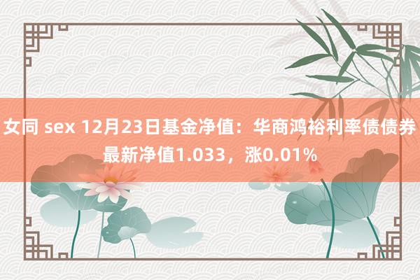 女同 sex 12月23日基金净值：华商鸿裕利率债债券最新净值1.033，涨0.01%