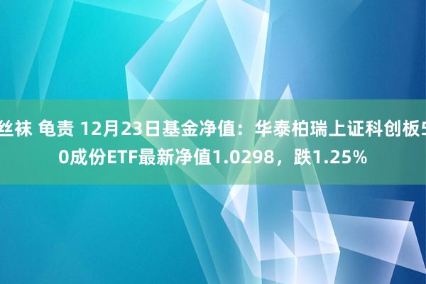 丝袜 龟责 12月23日基金净值：华泰柏瑞上证科创板50成份ETF最新净值1.0298，跌1.25%