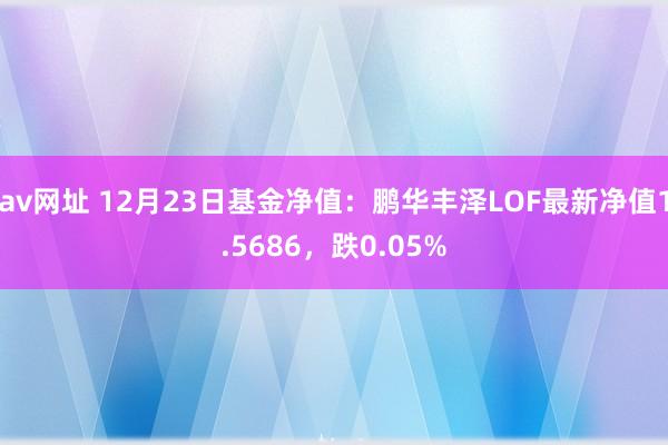 av网址 12月23日基金净值：鹏华丰泽LOF最新净值1.5686，跌0.05%