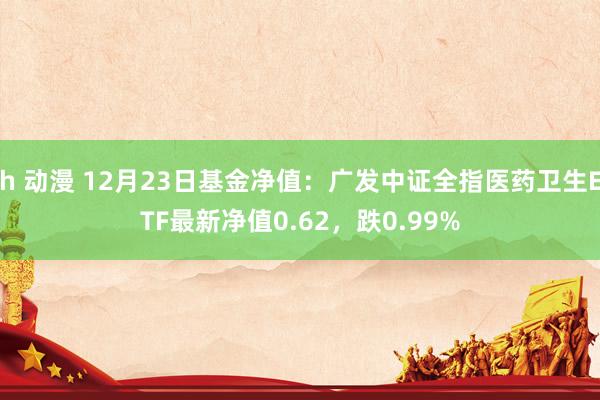 h 动漫 12月23日基金净值：广发中证全指医药卫生ETF最新净值0.62，跌0.99%