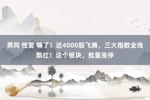 男同 性愛 嗨了！近4000股飞腾，三大指数全线飘红！这个板块，批量涨停