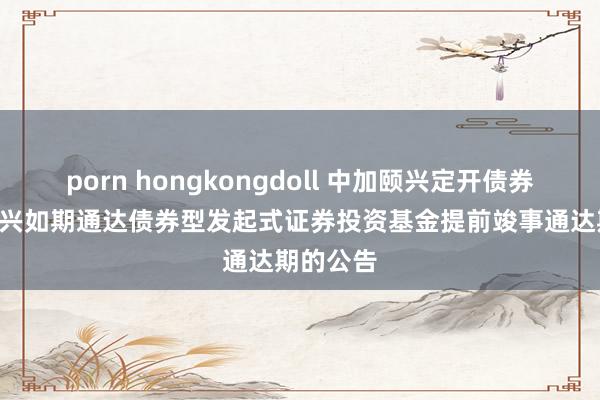 porn hongkongdoll 中加颐兴定开债券: 中加颐兴如期通达债券型发起式证券投资基金提前竣事通达期的公告