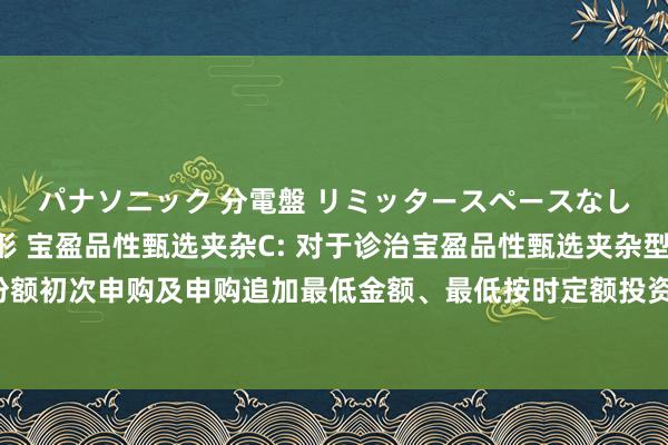 パナソニック 分電盤 リミッタースペースなし 露出・半埋込両用形 宝盈品性甄选夹杂C: 对于诊治宝盈品性甄选夹杂型证券投资基金C类份额初次申购及申购追加最低金额、最低按时定额投资金额、最低赎回份额、最低调度转出份额及最低握有份额戒指的公告