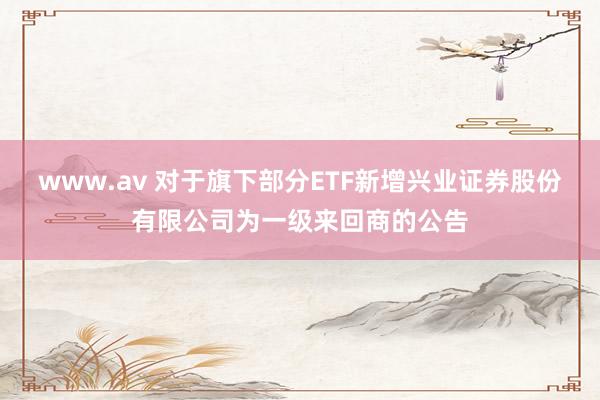 www.av 对于旗下部分ETF新增兴业证券股份有限公司为一级来回商的公告