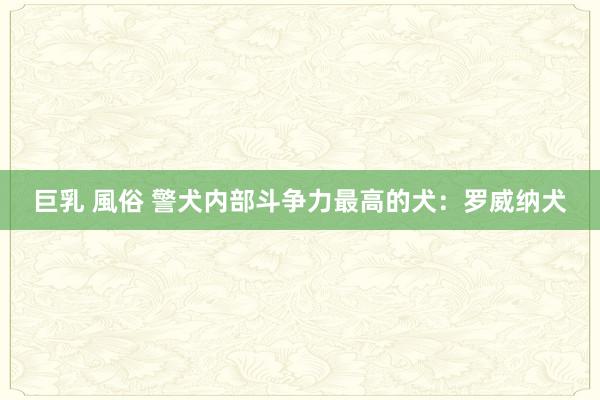 巨乳 風俗 警犬内部斗争力最高的犬：罗威纳犬