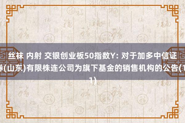 丝袜 内射 交银创业板50指数Y: 对于加多中信证券(山东)有限株连公司为旗下基金的销售机构的公告(1)