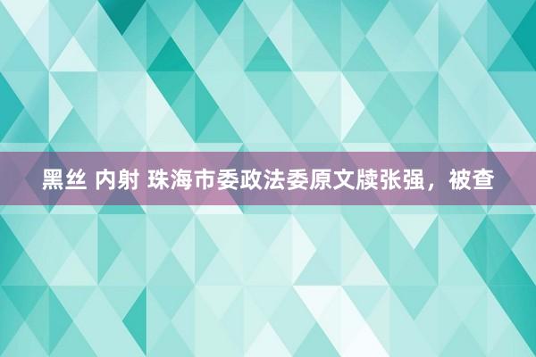 黑丝 内射 珠海市委政法委原文牍张强，被查