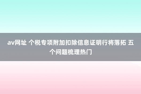 av网址 个税专项附加扣除信息证明行将落拓 五个问题梳理热门