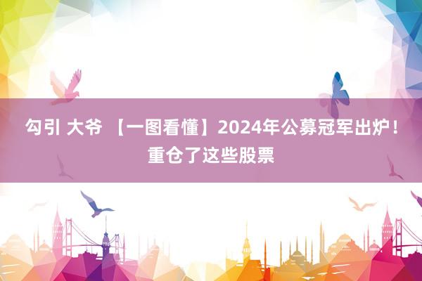 勾引 大爷 【一图看懂】2024年公募冠军出炉！重仓了这些股票