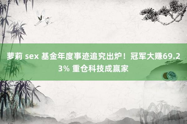 萝莉 sex 基金年度事迹追究出炉！冠军大赚69.23% 重仓科技成赢家