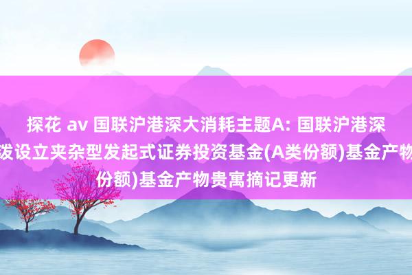 探花 av 国联沪港深大消耗主题A: 国联沪港深大消耗主题活泼设立夹杂型发起式证券投资基金(A类份额)基金产物贵寓摘记更新