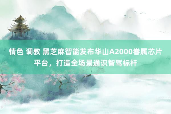 情色 调教 黑芝麻智能发布华山A2000眷属芯片平台，打造全场景通识智驾标杆