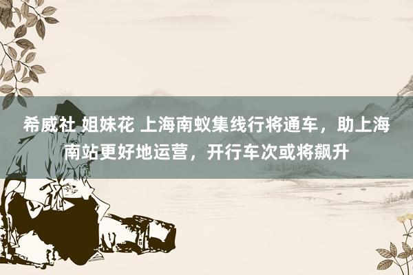 希威社 姐妹花 上海南蚁集线行将通车，助上海南站更好地运营，开行车次或将飙升