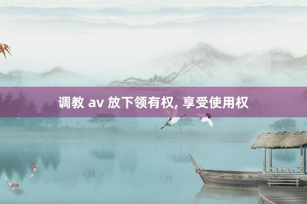 调教 av 放下领有权， 享受使用权