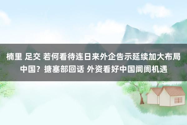 楠里 足交 若何看待连日来外企告示延续加大布局中国？搪塞部回话 外资看好中国阛阓机遇