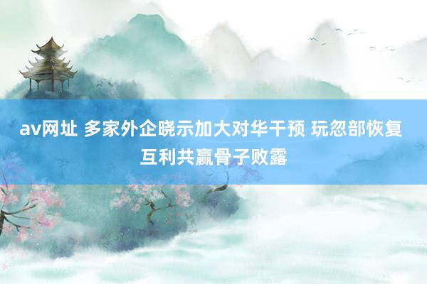 av网址 多家外企晓示加大对华干预 玩忽部恢复 互利共赢骨子败露