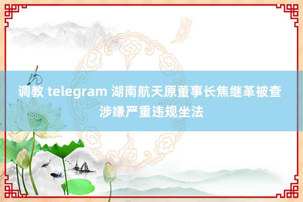 调教 telegram 湖南航天原董事长焦继革被查 涉嫌严重违规坐法