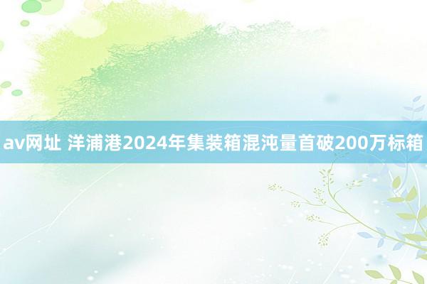 av网址 洋浦港2024年集装箱混沌量首破200万标箱