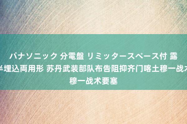 パナソニック 分電盤 リミッタースペース付 露出・半埋込両用形 苏丹武装部队布告阻抑齐门喀土穆一战术要塞