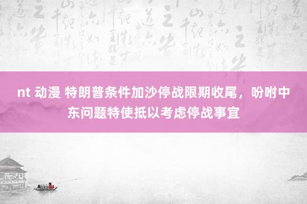 nt 动漫 特朗普条件加沙停战限期收尾，吩咐中东问题特使抵以考虑停战事宜