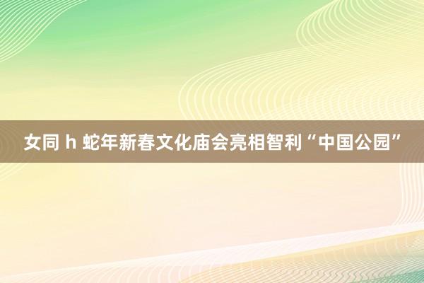 女同 h 蛇年新春文化庙会亮相智利“中国公园”