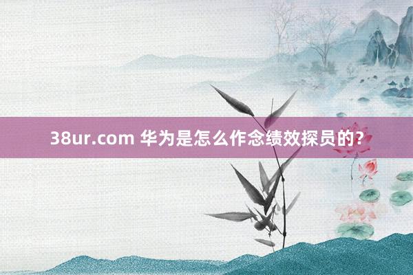 38ur.com 华为是怎么作念绩效探员的？