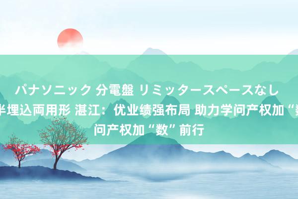 パナソニック 分電盤 リミッタースペースなし 露出・半埋込両用形 湛江：优业绩强布局 助力学问产权加“数”前行